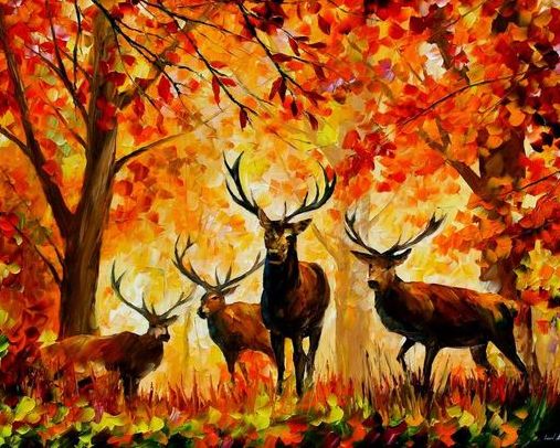 Forest Deers