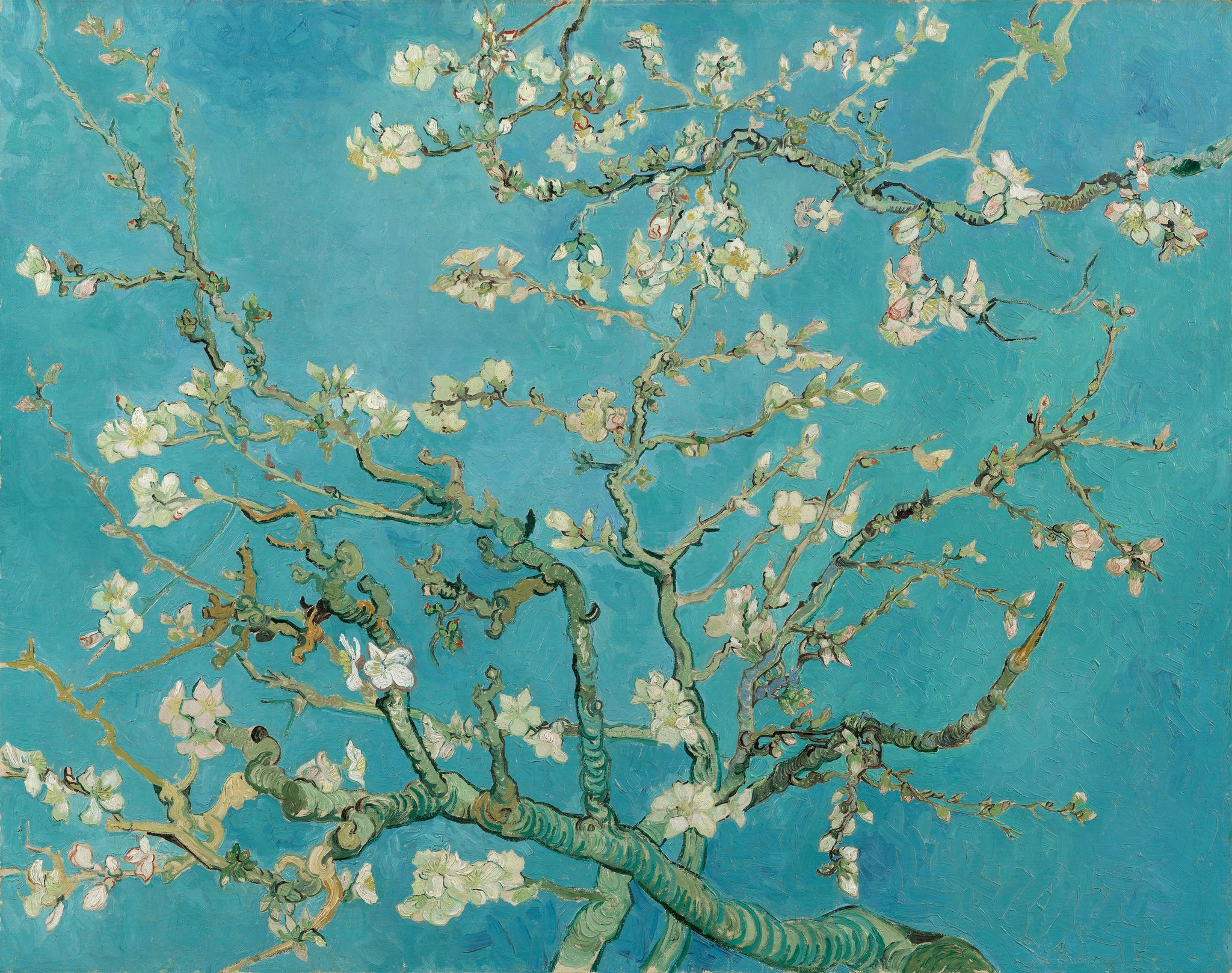 Van Gogh - Mandulavirágzás