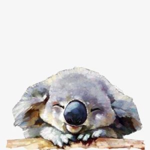 Tündéri koala – VIDEÓS festés