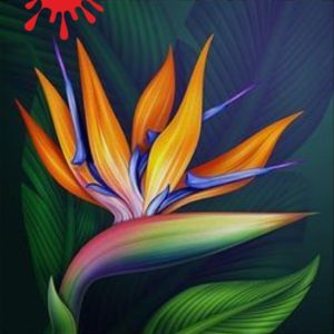 Egzotikus színes virág – VIDEÓS festés