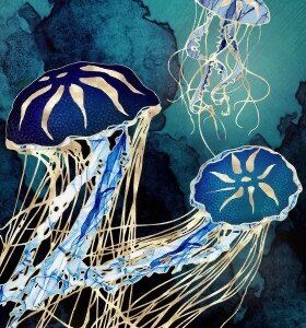 Metál medúzák – Kezdő