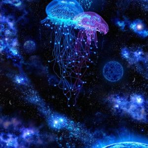 Világító medúzák – Kezdő
