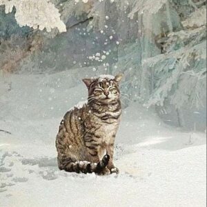 Cicó a hóban-kezdő