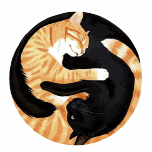 Cicák – kör alakú vászonra