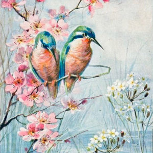 Kolibrik – ONLINE festés