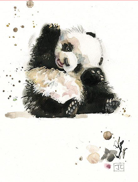 Panda maci - YourArt - Otthoni élményfestő szett