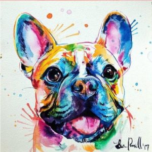 Színes Bulldog – VIDEÓS festés
