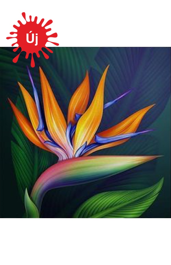 Egzotikus színes virág - YourArt - Otthoni élményfestő szett