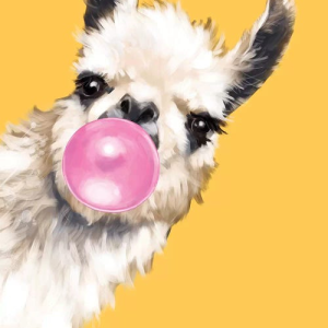 Bubble gum láma