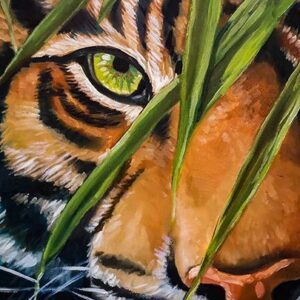 Tigris